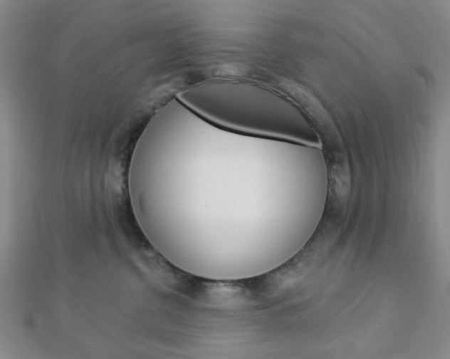 X0000112910380200908241014