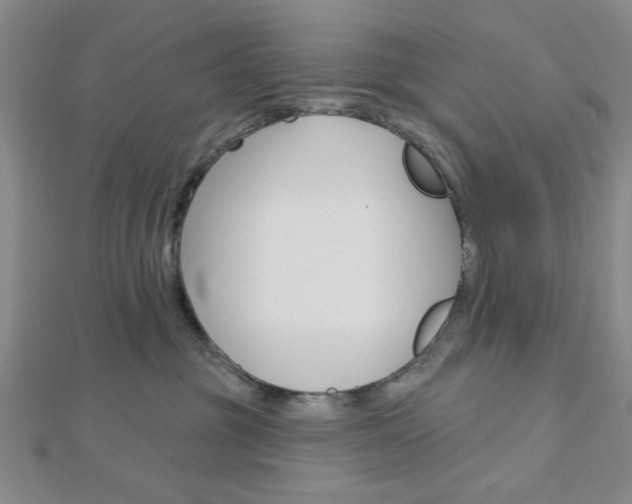 X0000112910381200908241014