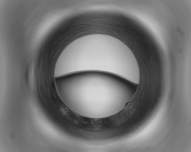 X0000112910382200908241014