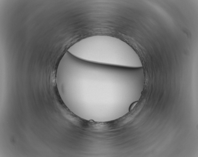X0000112910383200908241014