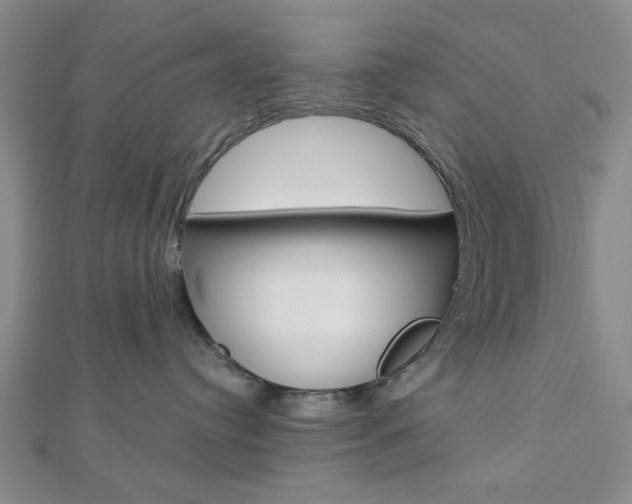 X0000112910384200908241014