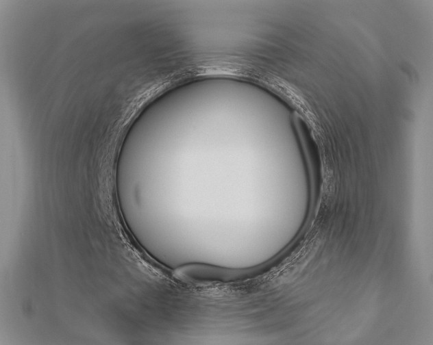 X0000112910385200908241013