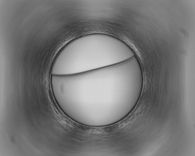 X0000112910386200908241013