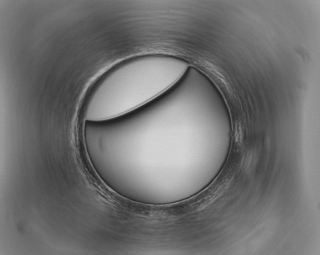 X0000112910388200908241013