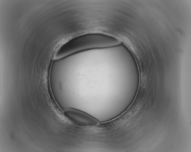 X0000112910389200908241013