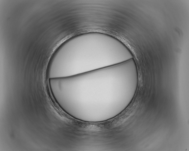 X0000112910390200908241013