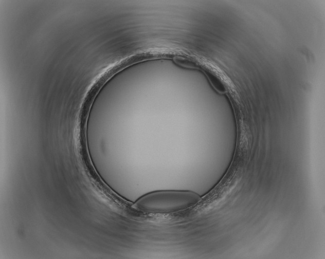X0000112910391200908241013