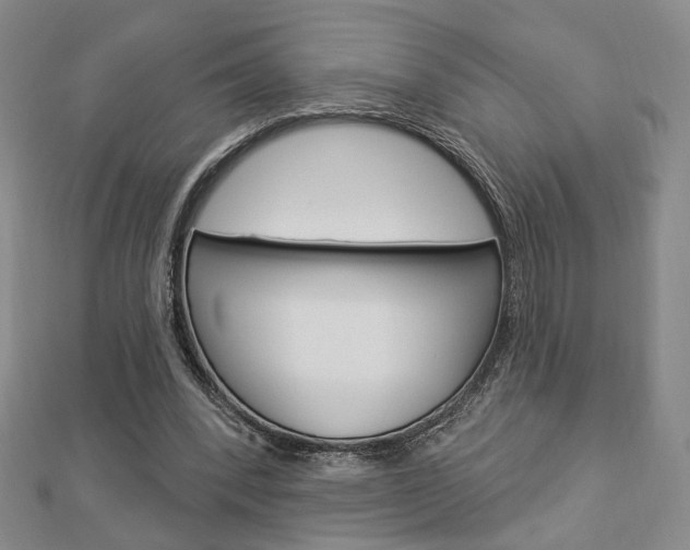 X0000112910392200908241013