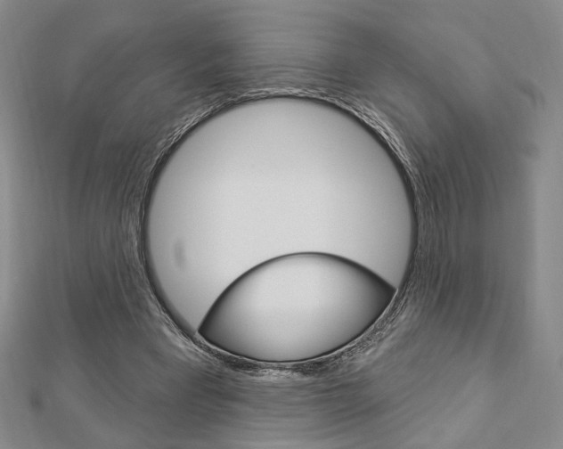 X0000112910393200908241013