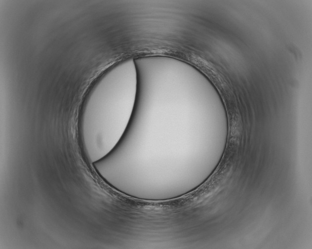 X0000112910394200908241013