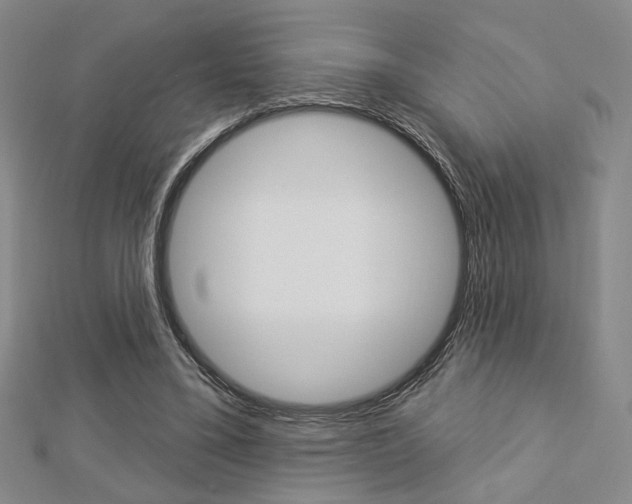X0000112910395200908241013