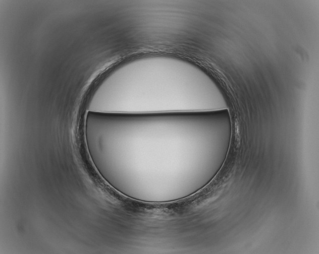 X0000112910396200908241013