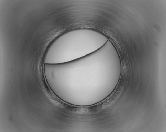 X0000112910398200908241013
