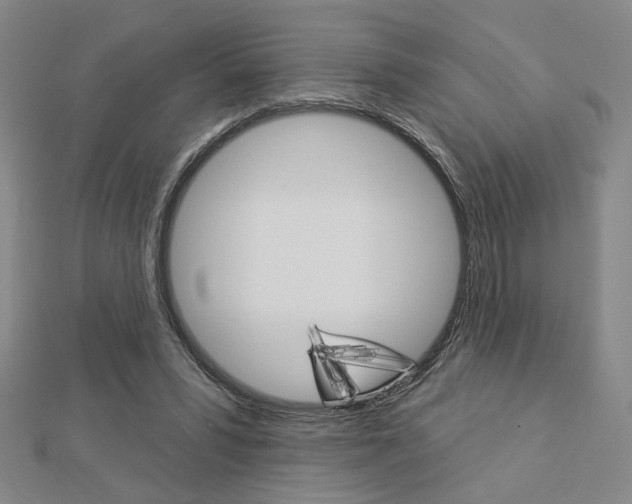 X0000112910399200908241013