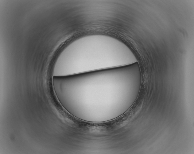 X0000112910400200908241013