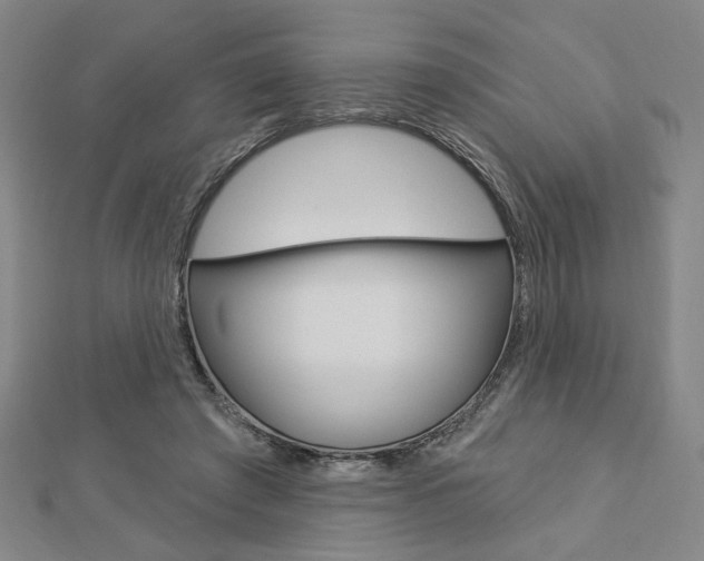 X0000112910401200908241013