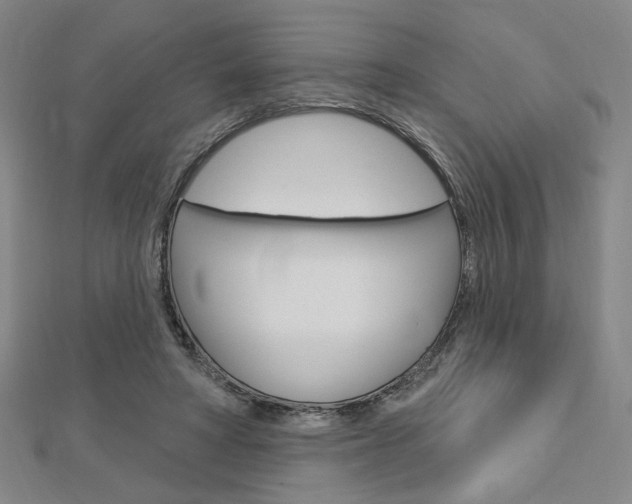 X0000112910402200908241013
