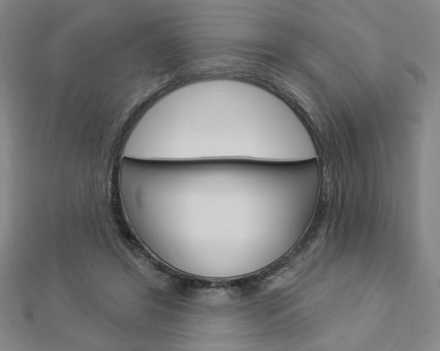 X0000112910404200908241013