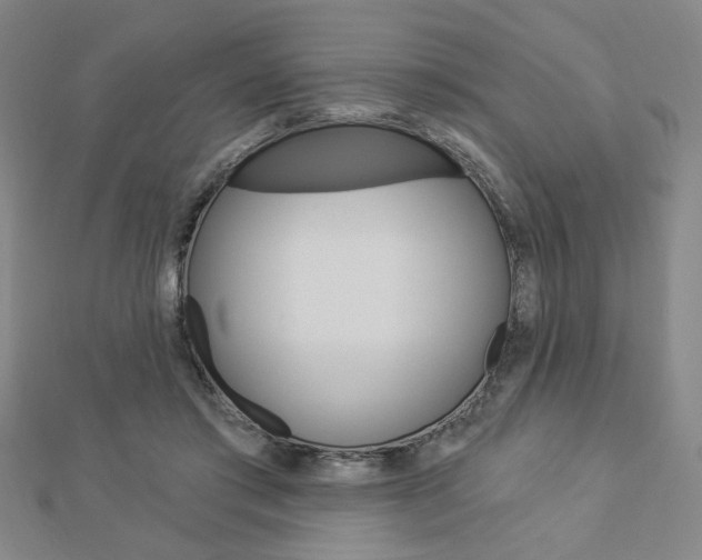 X0000112910405200908241013