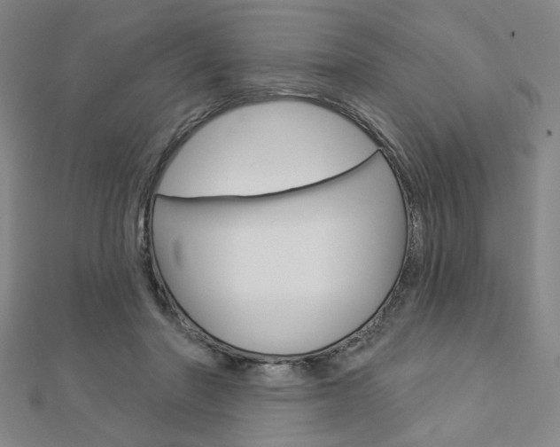 X0000112910406200908241013