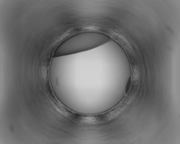 X0000112910409200908241013