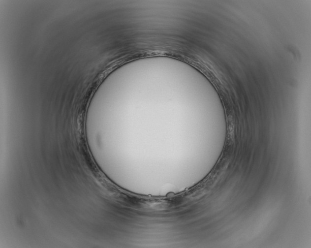 X0000112910410200908241013