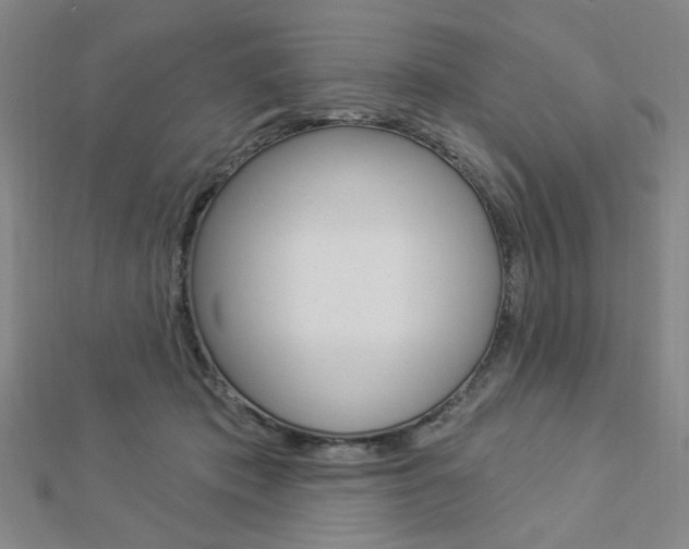 X0000112910413200908241013