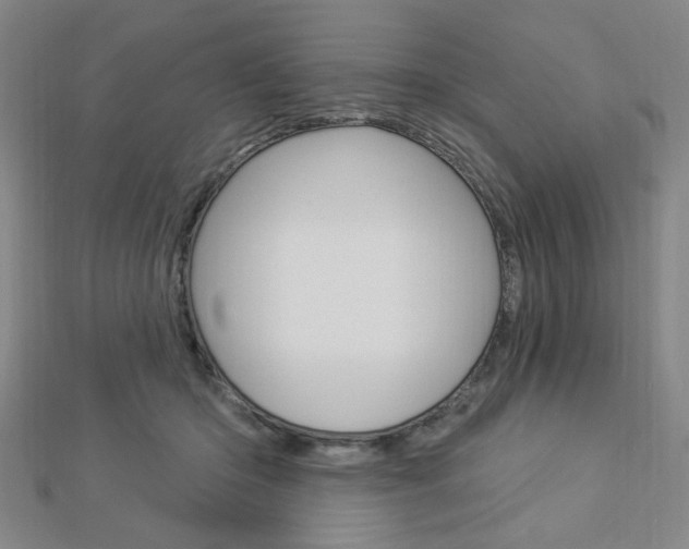 X0000112910414200908241013