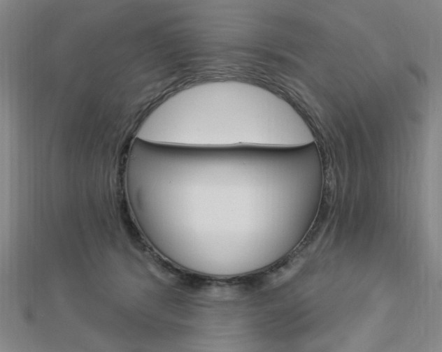 X0000112910416200908241013