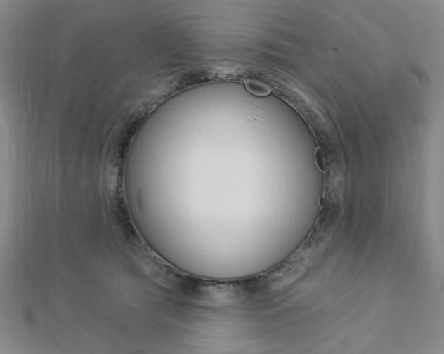X0000112910417200908241013