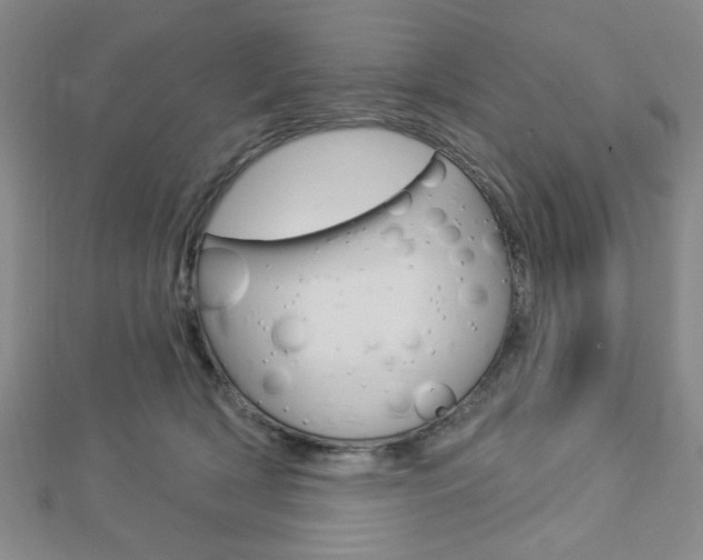 X0000112910418200908241013