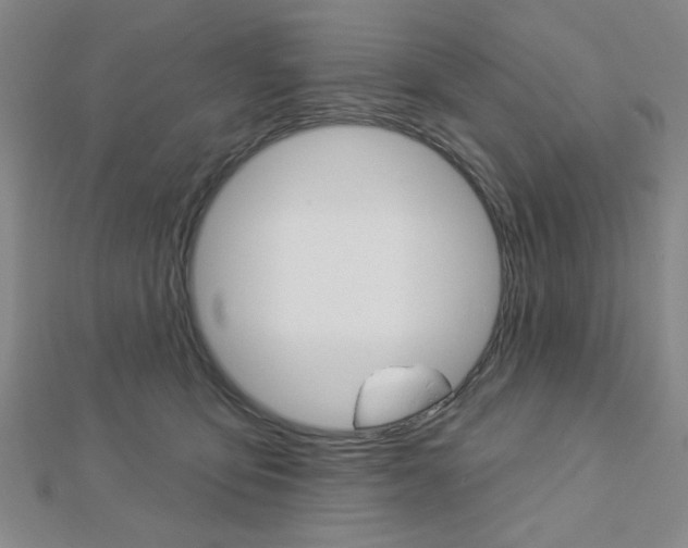 X0000112910419200908241013