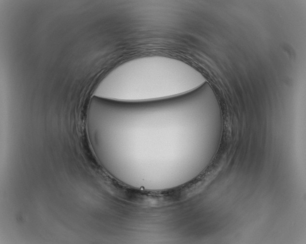 X0000112910420200908241013