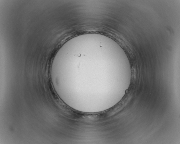 X0000112910422200908241013