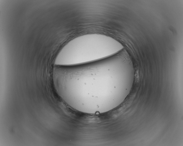 X0000112910424200908241013