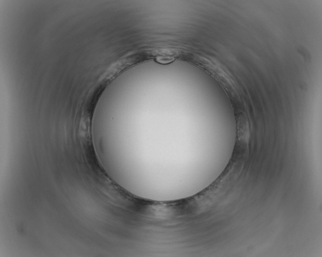 X0000112910425200908241013
