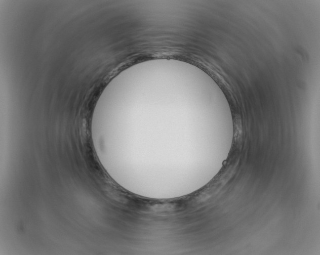 X0000112910426200908241013