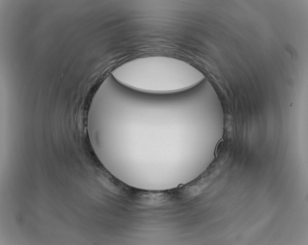 X0000112910428200908241013