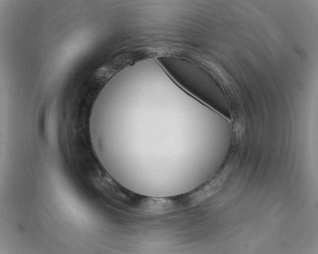 X0000112910429200908241013