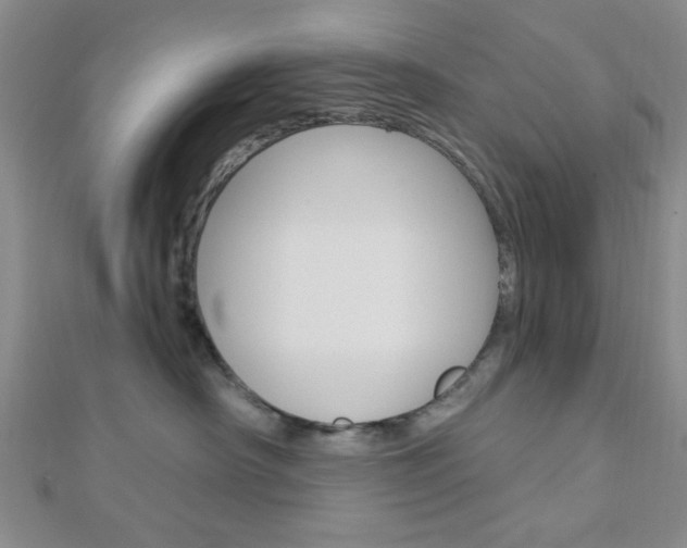 X0000112910430200908241012