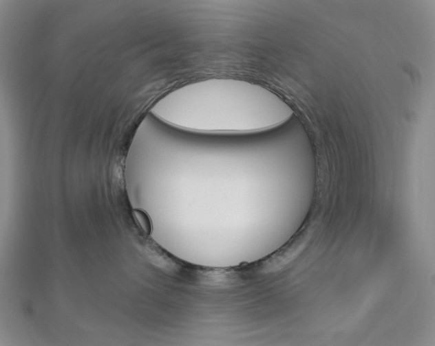 X0000112910432200908241012