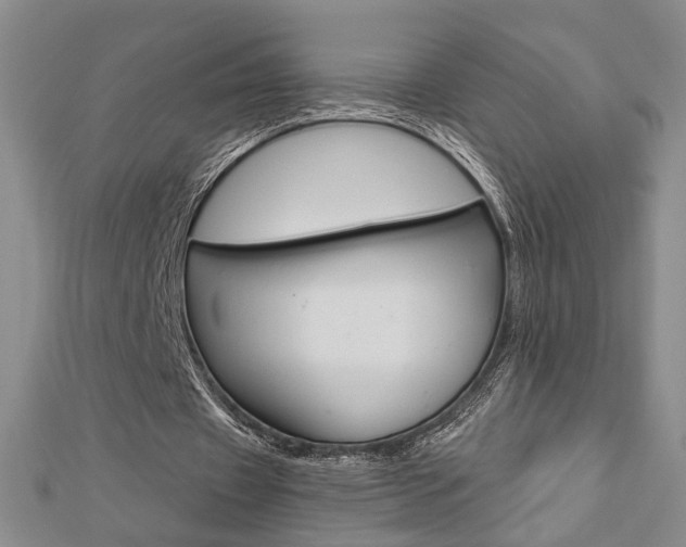 X0000112910433200908241012