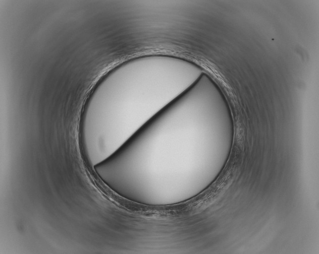 X0000112910434200908241012