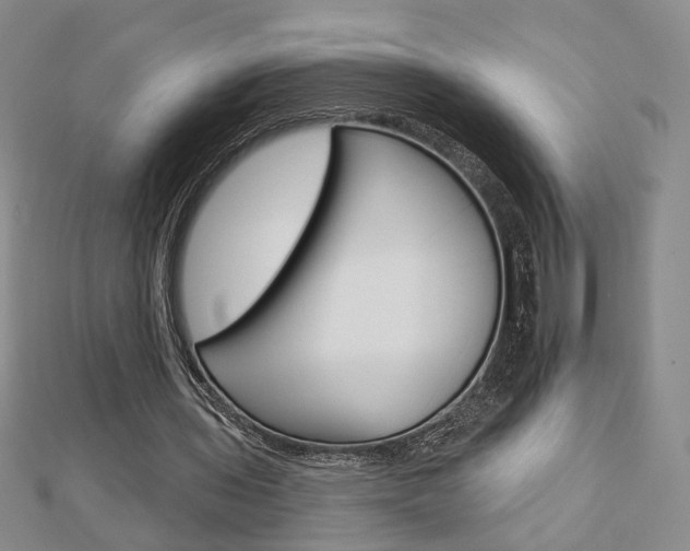 X0000112910435200908241012