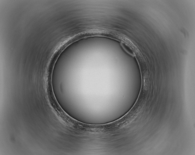 X0000112910436200908241012