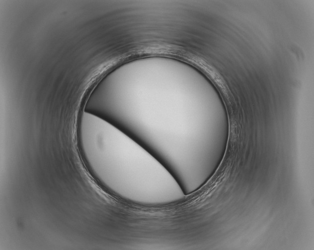 X0000112910437200908241012