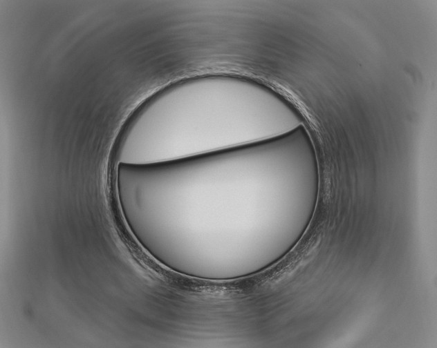 X0000112910439200908241012