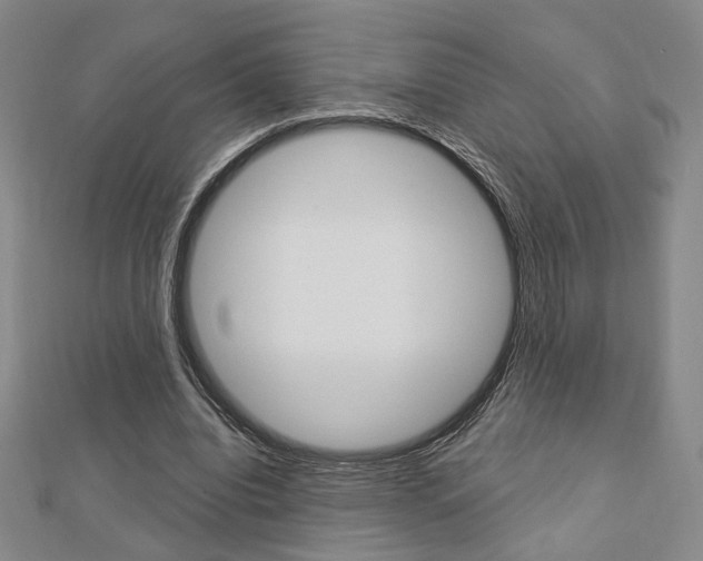 X0000112910440200908241012