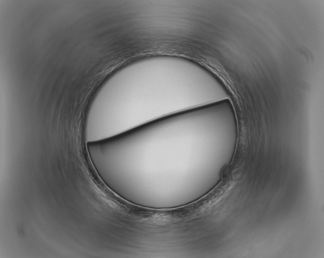 X0000112910441200908241012