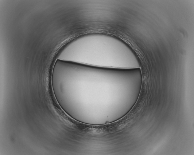 X0000112910442200908241012